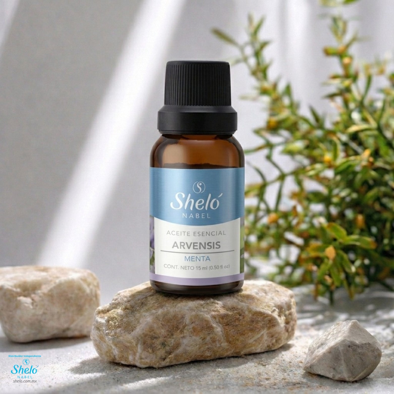 ACEITE ESENCIAL ARVENSIS