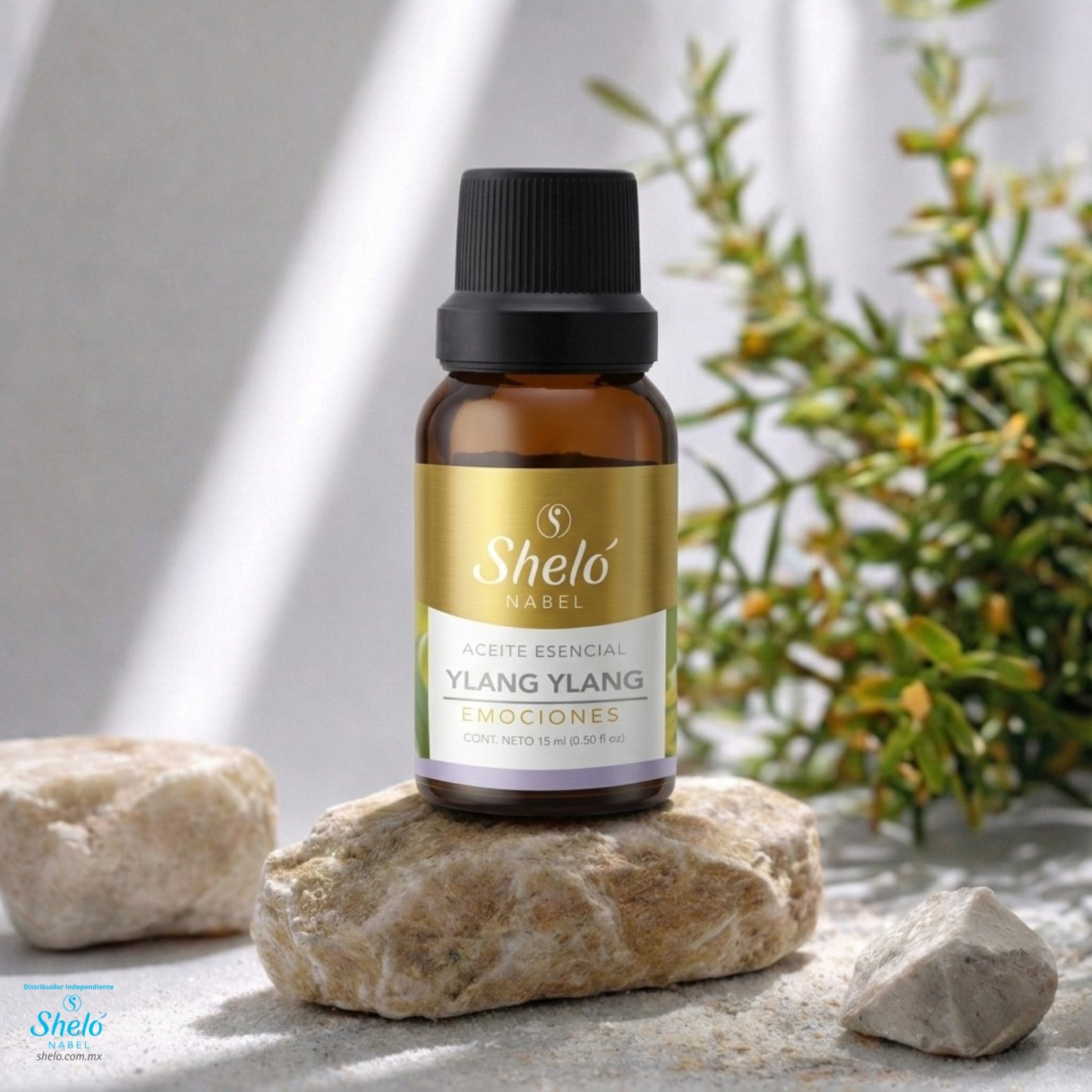 ACEITE ESENCIAL YLANG YLANG