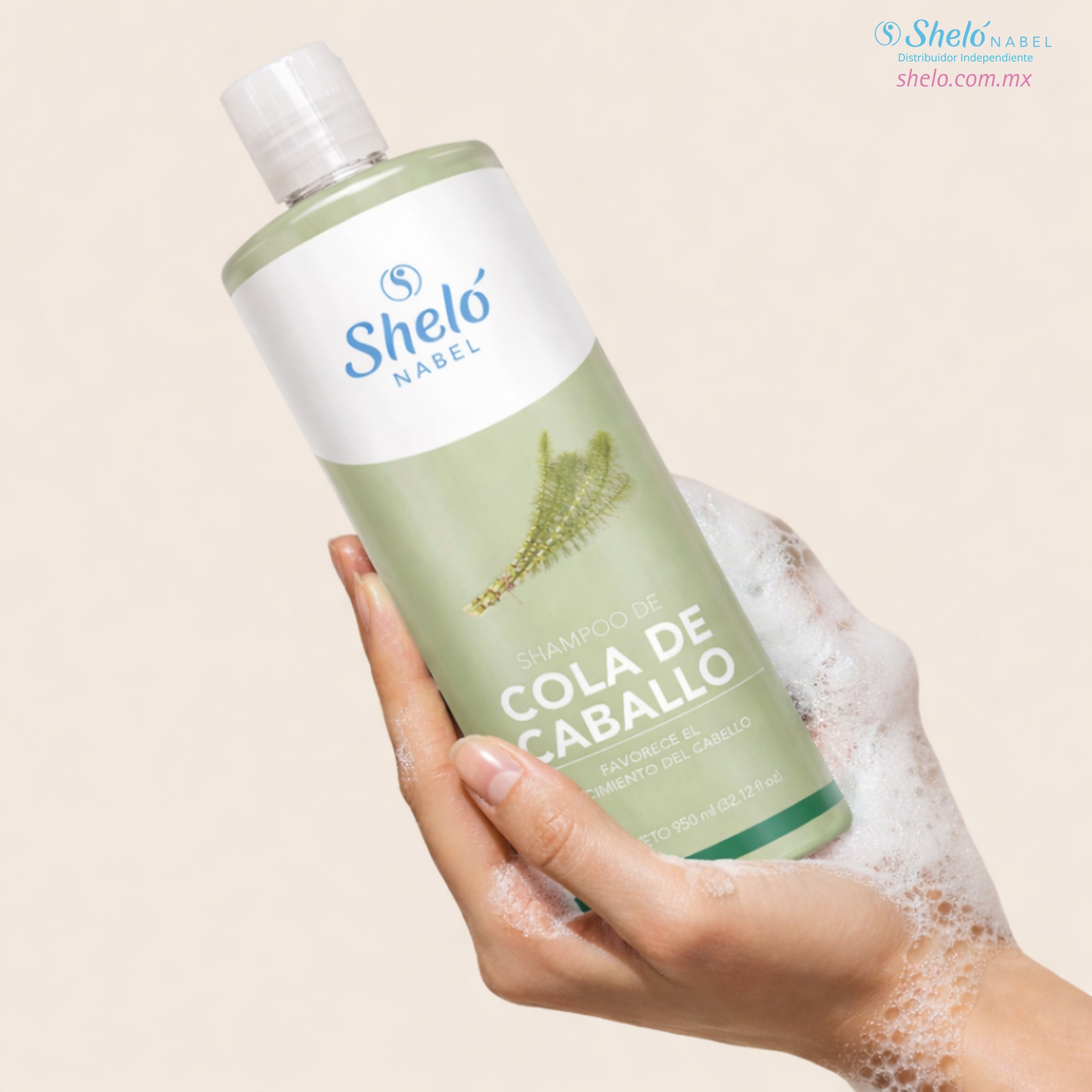 SHAMPOO DE COLA DE CABALLO