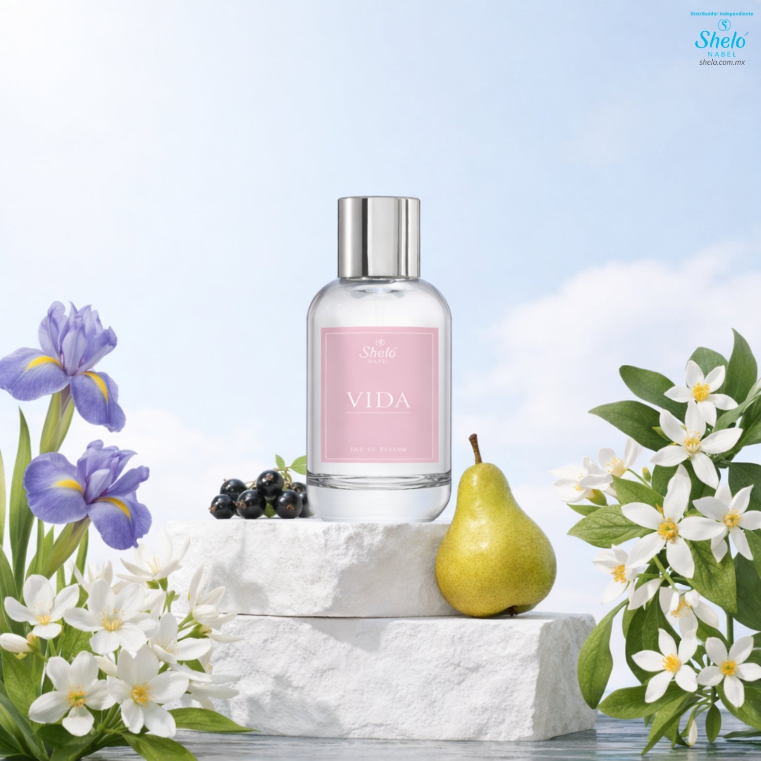 ESENCIA CORPORAL DE ALTA GAMA DAMA VIDA