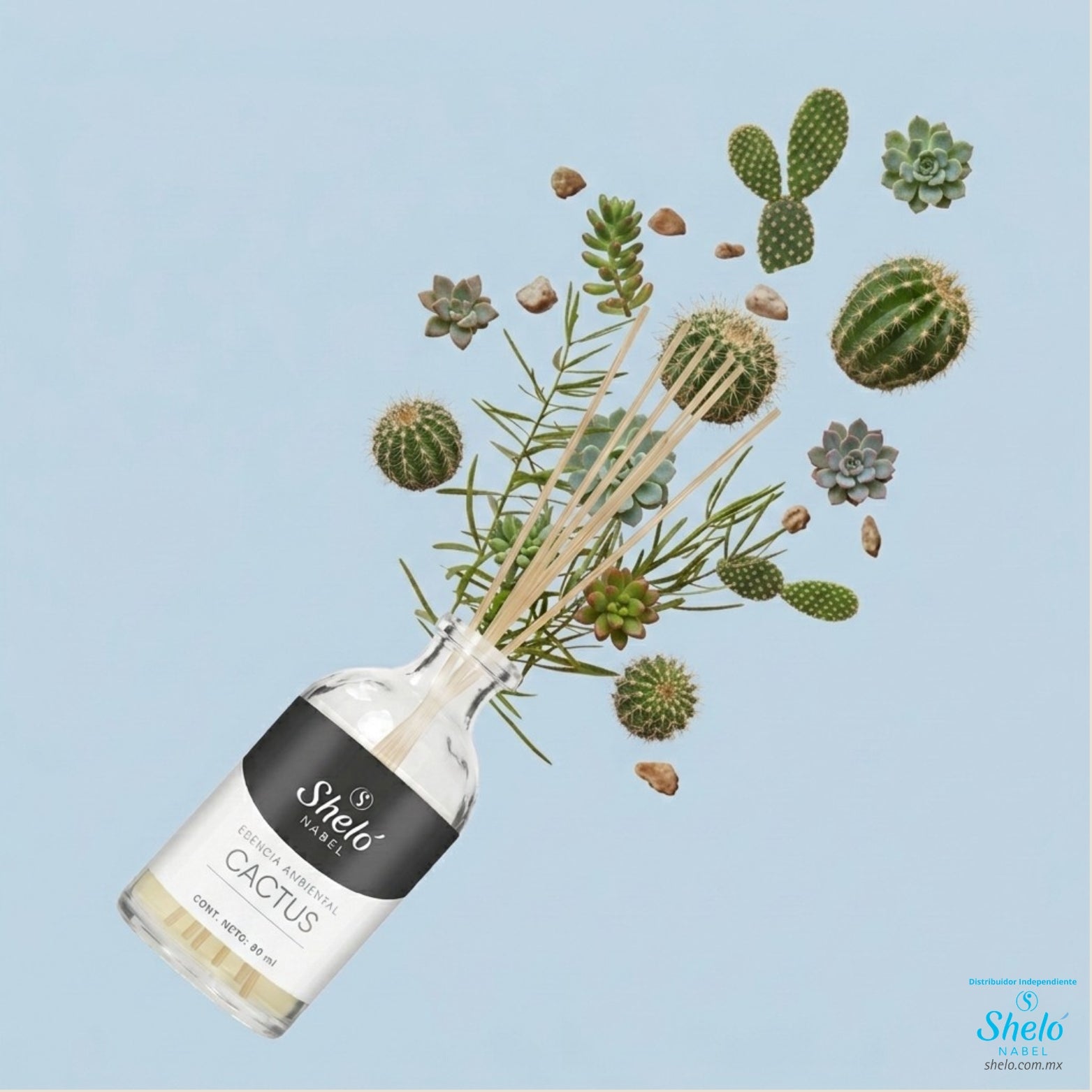 ESENCIA AMBIENTAL CACTUS