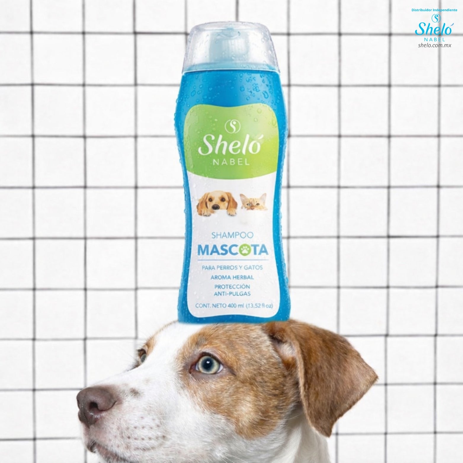 SHAMPOO MASCOTA