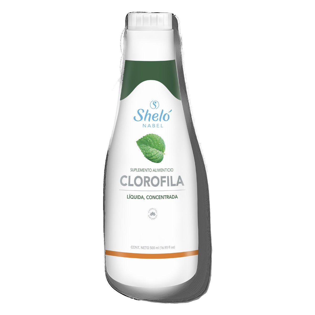 CLOROFILA
