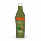 CONCENTRADO CON MORINGA