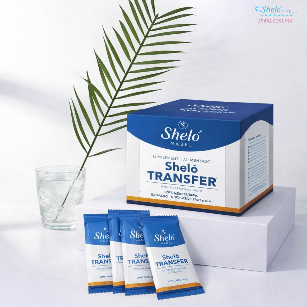 Sheló TRANSFER